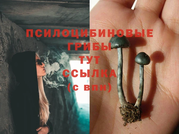 экстази Арсеньев