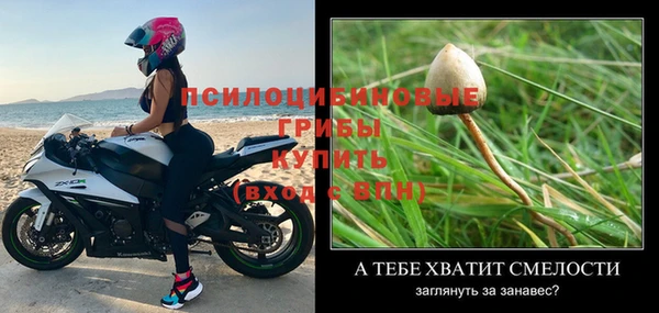 индика Армянск