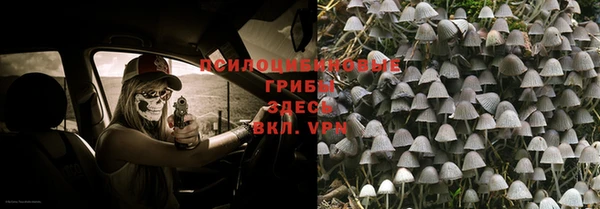индика Армянск