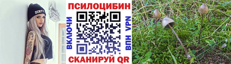 что такое наркотик  Змеиногорск  Галлюциногенные грибы прущие грибы 