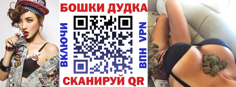 где найти наркотики  hydra ССЫЛКА  Конопля SATIVA & INDICA  Змеиногорск 